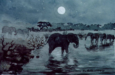 Bild Trinkende Elefanten bei Vollmond von Uli Aschenborn